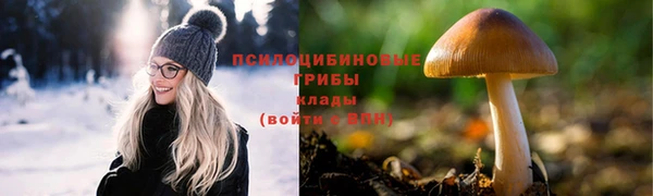 мет Балахна